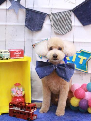 20230414モコくん